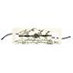 Armband schwarz mit Edelweiss silber, div. Farbe
