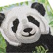 Baby Panda, Karte 18x18cm Crystal Art | Bild 2
