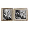 Bilderrahmen mit Edelweiss, 21 x 25 cm, 2 assortiert