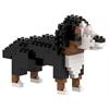 Brixies Berner Sennenhund