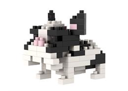 Brixies Französische Bulldogge
