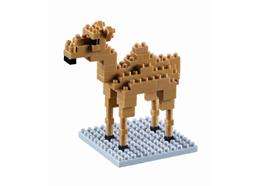 Brixies Kamel / Camel