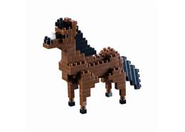 Brixies Pferd / horse