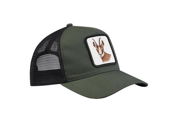 Cap olive grün, Gams