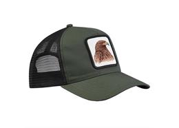 Cap olive grün, Steinadler