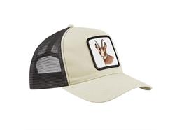 Cap sand, Gams