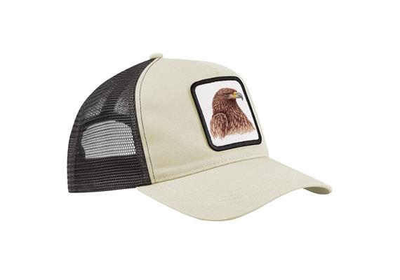 Cap Steinadler, sand