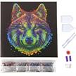 Colourful Wolf, 30x30cm Crystal Art Kit | Bild 4