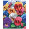 Crystal Art 40x50cm - Perfect Pansies