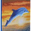 Delfin Sonnenaufgang, Bild 30x30cm Crystal Art | Bild 2
