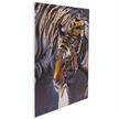 Der Tiger, Bild 70x70cm Crystal Art Kit | Bild 2