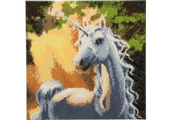 Einhorn bei Sonnenschein, 30x30cm Crystal Art Kit