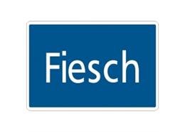 Fleischmann 9110 AUSGLEICHSTUECK GER. 83 111 M