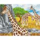 Grasende Giraffen, 40x50cm Crystal Art Kit