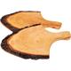 Griffrinde - Rindenscheibe mit Griff 36 - 42 cm Holzoberfläche geölt
