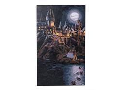 Harry Potter, 30x30cm Paint By Numbers Kit