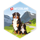 Hexagonsticker Berner Sennenhund - Switzerland