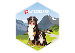 Hexagonsticker Berner Sennenhund - Switzerland