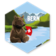 Hexagonsticker Braunbär Bern