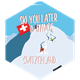 Hexagonsticker Ski you later - DAVOS