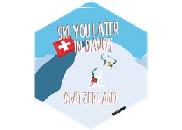 Hexagonsticker Ski you later - DAVOS