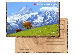 Holz Postkarte Kuh Alpen - Switzerland