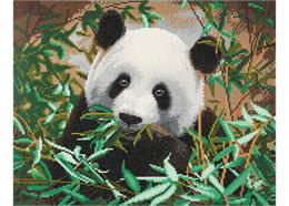 Hungriger Panda, Bild 40x50cm Crystal Art Kit