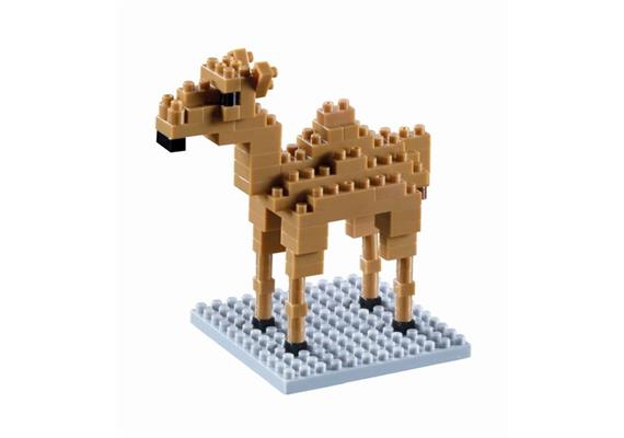 Kamel / Camel