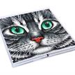 Katze Faltbare Aufbewahrungsbox Crystal Art 30x30cm | Bild 3