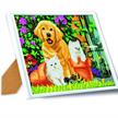 Katze & Hund: Freunde fürs Leben, 21x25cm Bild mit Rahmen Crystal Art | Bild 2