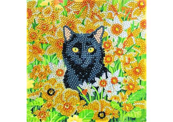 Katze zwischen den Blumen, Karte 18x18cm Crystal A