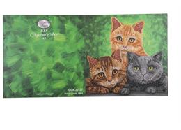 Katzen, 18x18cm Crystal Art Card