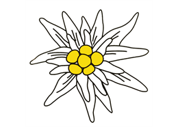 Kleber Edelweiss M 14 cm, wetter,- lichtbeständig