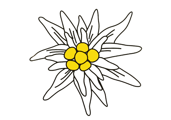 Kleber Edelweiss M 14 cm, wetter- und lichtbeständig