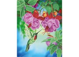 Kolibri, Bild 40x50cm Crystal Art