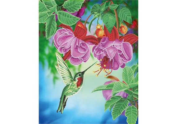 Kolibri, Bild 40x50cm Crystal Art