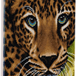 Leopard, 30x30cm Crystal Art Kit | Bild 3