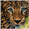 Leopard, 30x30cm Crystal Art Kit