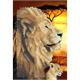 Löwen der Savannah, Crystal Art Notizbuch