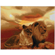 Löwen der Savanne, 40x50cm Crystal Art Kit