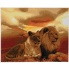 Löwen der Savanne, 40x50cm Crystal Art Kit
