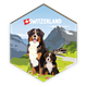 Magnet Berner Sennenhund - Switzerland