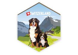Magnet Berner Sennenhund - Switzerland