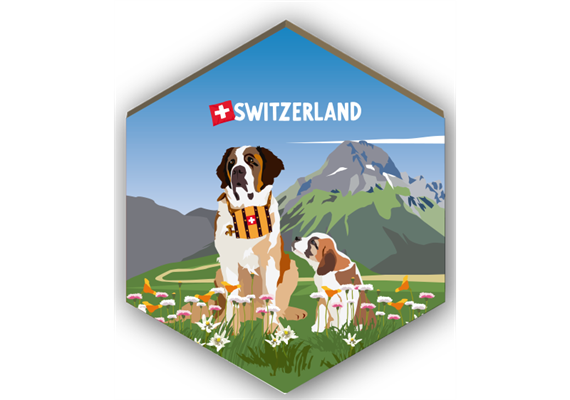 Magnet Bernhardiner - Switzerland