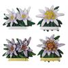 Magnet Edelweiss, 4 assortiert