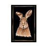 Magnet Hase