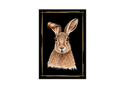 Magnet Hase