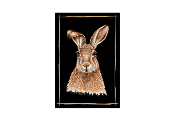 Magnet Hase