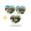 Magnet Herz Sommer, 6 x 5 cm, 3 assortiert