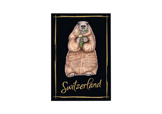 Magnet Murmeltier, Switzerland